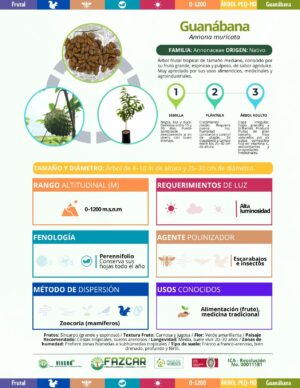 Guanábana