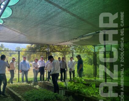 PLANTILLA FOTOGRAFIAS FASCAR-04