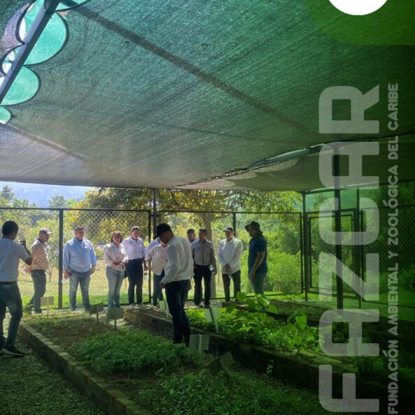 PLANTILLA FOTOGRAFIAS FASCAR-04