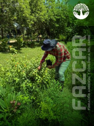 PLANTILLA FOTOGRAFIAS FASCAR-08