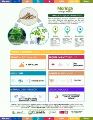 Moringa